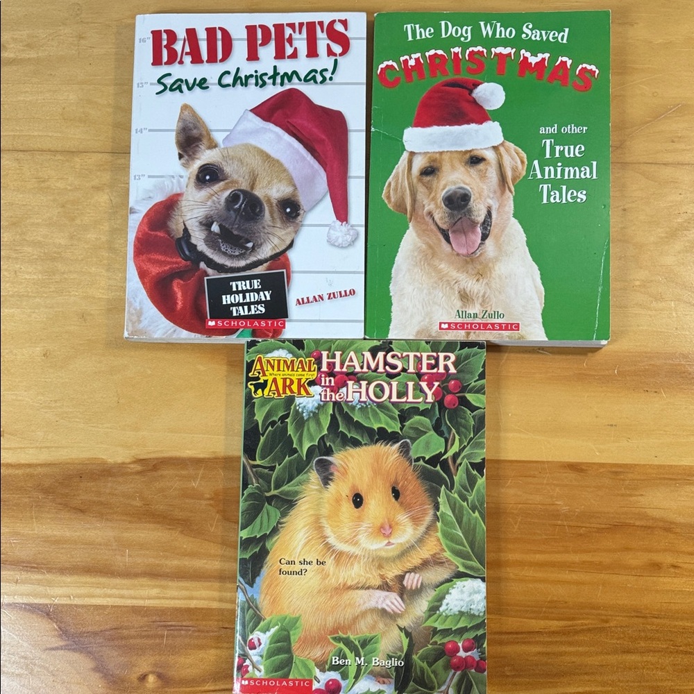 🌈2/$8  3-Book Bundle Christmas Chapter